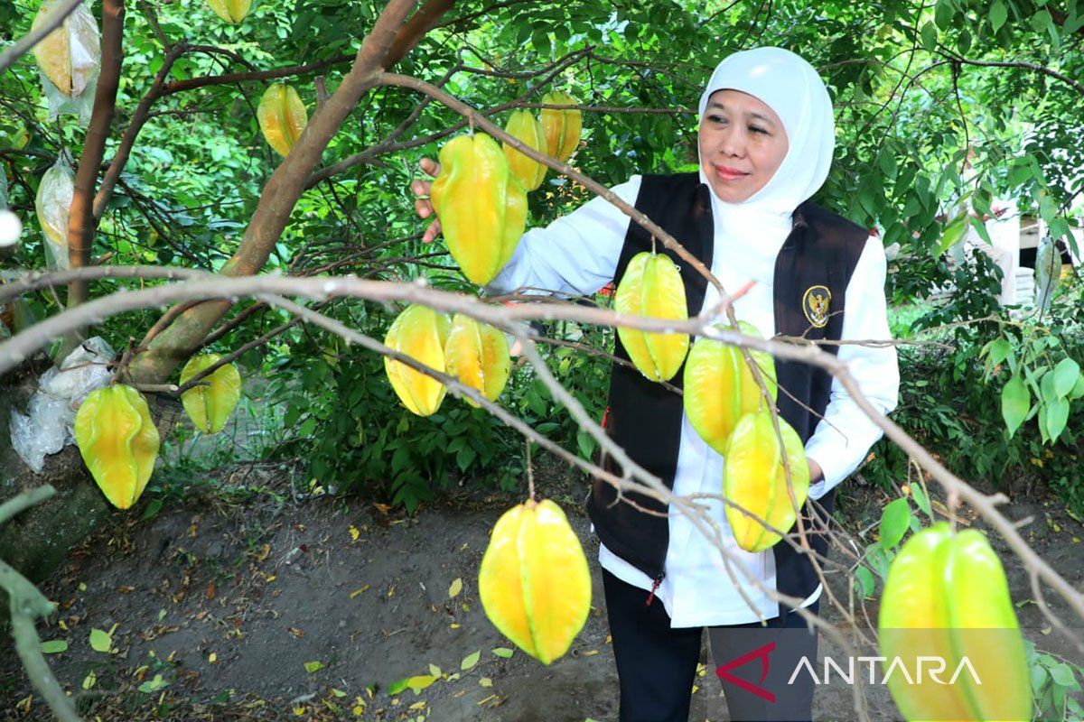 Khofifah